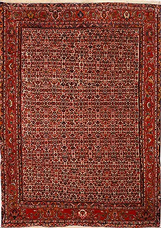 Bidjar Red Hand Knotted 6'7" X 9'10"  Area Rug 100-16323