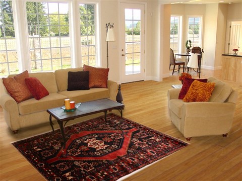Mussel Red Hand Knotted 410 X 73 Area Rug 100-16337 Image 5