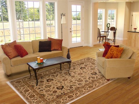 Tabriz Beige Hand Tufted 60 X 90 Area Rug 100-16355 Image 4