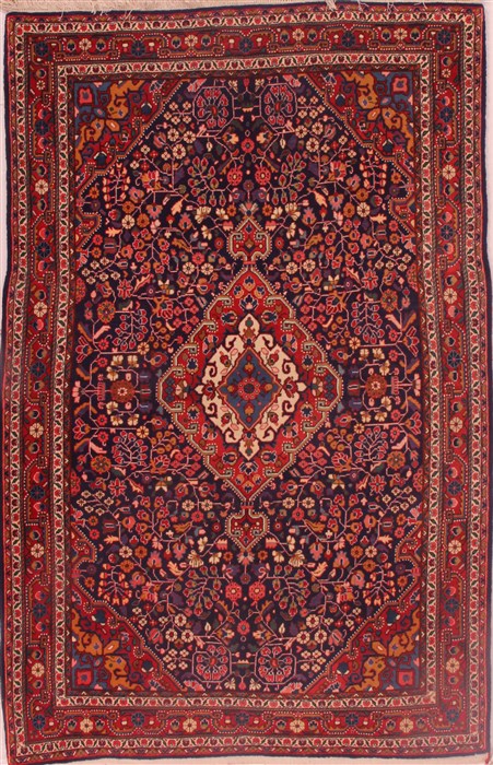 Jozan Blue Hand Knotted 46 X 69  Area Rug 400-16399 Image 0