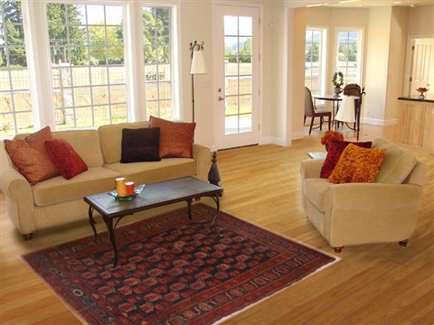Zanjan Blue Hand Knotted 310 X 60 Area Rug 400-16400 Image 5