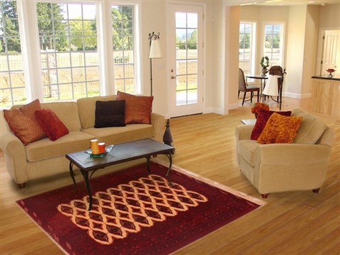 Turkman Red Hand Knotted 44 X 64 Area Rug 400-16402 Image 5