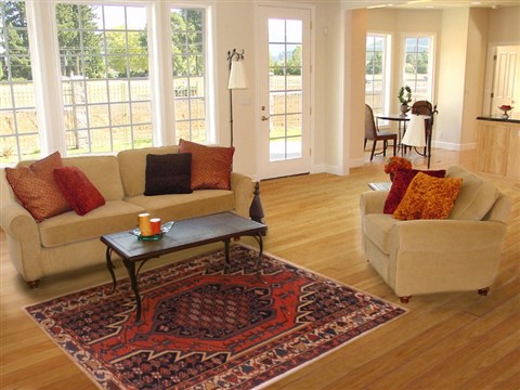 Mazlaghan Red Hand Knotted 43 X 62 Area Rug 400-16405 Image 5