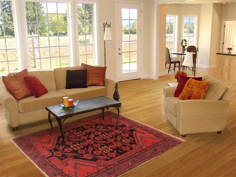 Bakhtiar Blue Hand Knotted 42 X 64 Area Rug 400-16412 Image 5