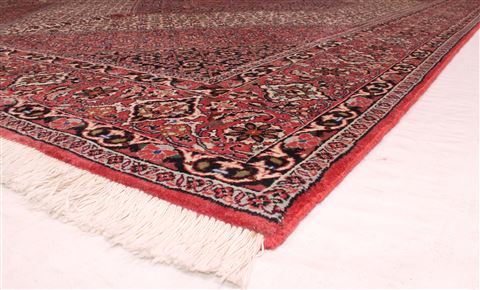 Bidjar Beige Hand Knotted 69 X 99 Area Rug 400-16418 Image 10
