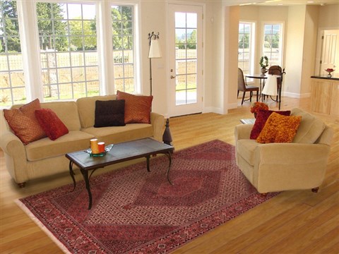 Bidjar Beige Hand Knotted 69 X 99 Area Rug 400-16418 Image 3