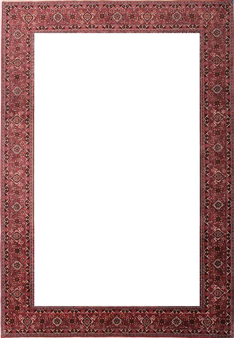 Bidjar Beige Hand Knotted 69 X 99 Area Rug 400-16418 Image 1