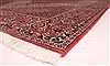 Bidjar Beige Hand Knotted 69 X 99 Area Rug 400-16418 Thumb 10