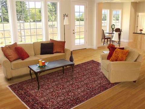 Bidjar Red Hand Knotted 68 X 98 Area Rug 400-16420 Image 2