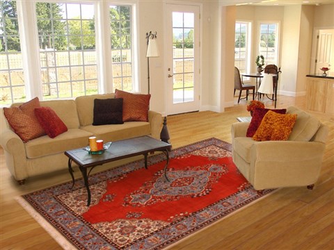 Tabriz Orange Hand Knotted 71 X 101 Area Rug 400-16422 Image 2