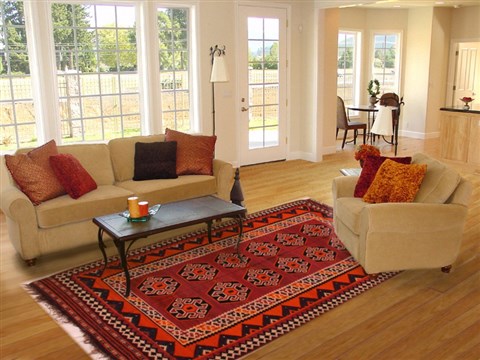 Turkman Red Hand Woven 59 X 90 Area Rug 400-16514 Image 4
