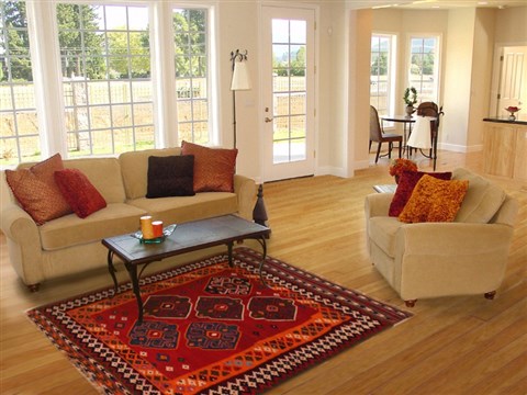 Turkman Red Hand Knotted 50 X 70 Area Rug 400-16519 Image 5