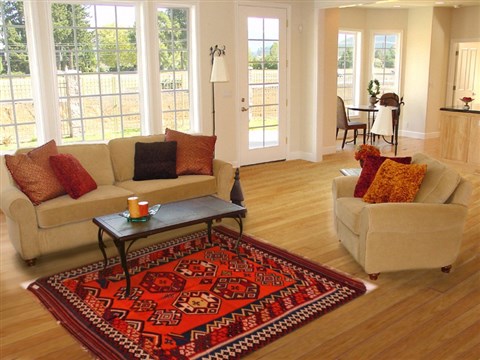 Turkman Orange Hand Knotted 50 X 79 Area Rug 400-16535 Image 4