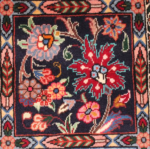 Bakhtiar Red Hand Knotted 68 X 99 Area Rug 400-16573 Image 17