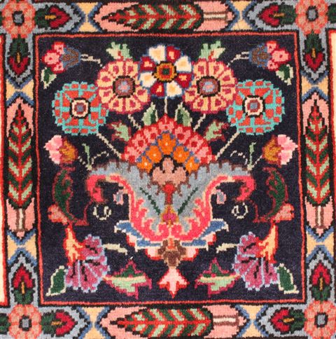 Bakhtiar Red Hand Knotted 68 X 99 Area Rug 400-16573 Image 18