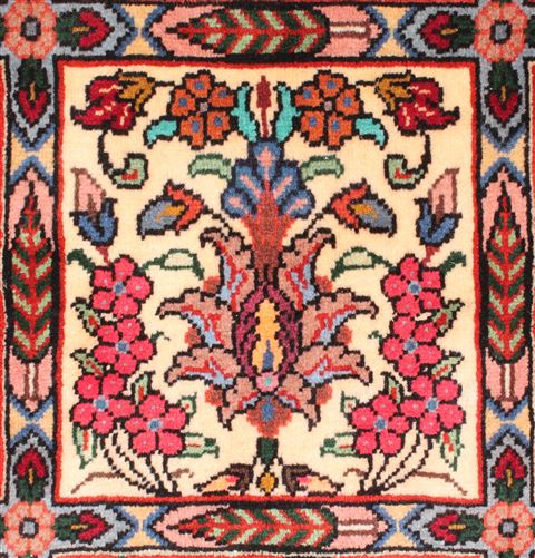 Bakhtiar Red Hand Knotted 68 X 99 Area Rug 400-16573 Image 21