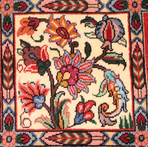 Bakhtiar Red Hand Knotted 68 X 99 Area Rug 400-16573 Image 22