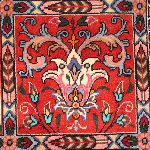 Bakhtiar Red Hand Knotted 68 X 99 Area Rug 400-16573 Image 23