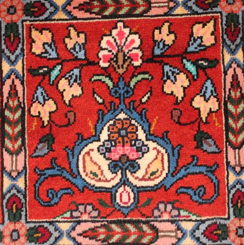 Bakhtiar Red Hand Knotted 68 X 99 Area Rug 400-16573 Image 24