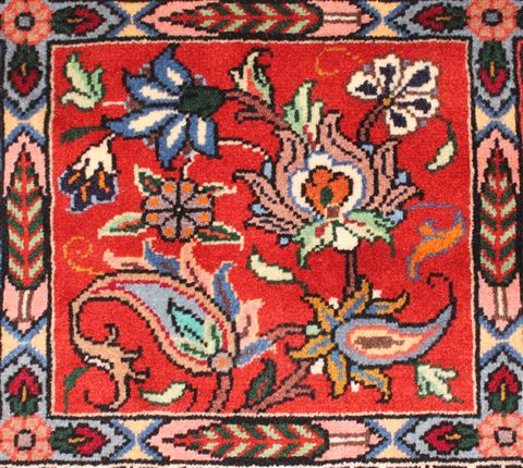 Bakhtiar Red Hand Knotted 68 X 99 Area Rug 400-16573 Image 12