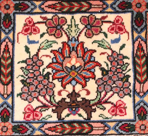 Bakhtiar Red Hand Knotted 68 X 99 Area Rug 400-16573 Image 13