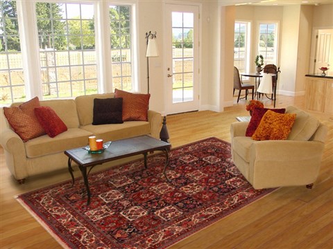 Bakhtiar Red Hand Knotted 68 X 99 Area Rug 400-16573 Image 2