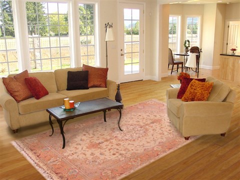 Tabriz Beige Hand Knotted 68 X 102 Area Rug 400-16579 Image 2