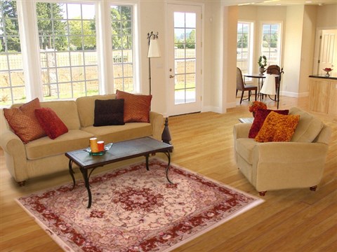 Tabriz Beige Hand Knotted 50 X 70 Area Rug 400-16606 Image 5