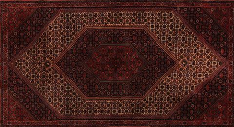 Bidjar White Hand Knotted 411 X 711 Area Rug 400-16619 Image 6