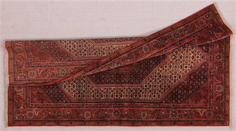 Bidjar White Hand Knotted 411 X 711 Area Rug 400-16619 Image 7