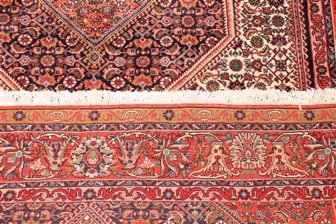 Bidjar White Hand Knotted 411 X 711 Area Rug 400-16619 Image 12