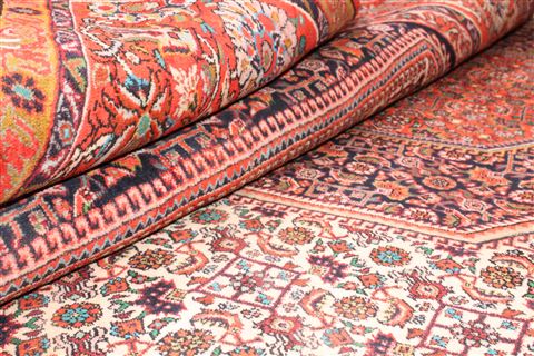 Bidjar White Hand Knotted 411 X 711 Area Rug 400-16619 Image 13