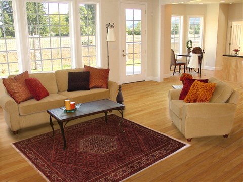 Bidjar Purple Hand Knotted 53 X 85 Area Rug 400-16620 Image 4