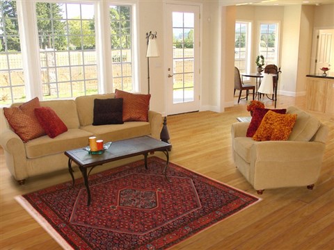 Bidjar Red Hand Knotted 310 X 57 Area Rug 400-16621 Image 5