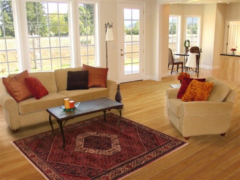 Bidjar Red Hand Knotted 39 X 511 Area Rug 400-16644 Image 5