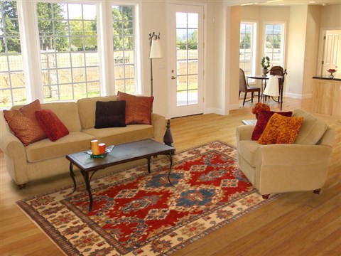 Kazak Red Hand Knotted 74 X 100 Area Rug 250-16660 Image 4