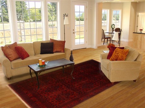 Khan Mohammadi Red Hand Knotted 69 X 910 Area Rug 250-16681 Image 4