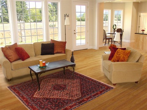 Bidjar White Hand Knotted 41 X 57 Area Rug 400-16690 Image 5