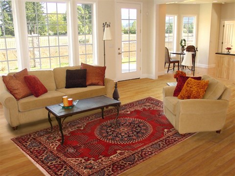 Ardebil Red Hand Knotted 85 X 114 Area Rug 400-16698 Image 4