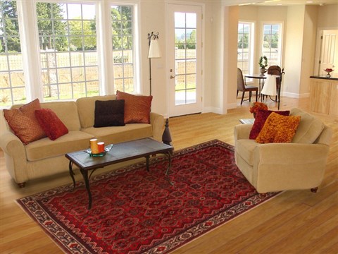 Hamedan Red Hand Knotted 73 X 99 Area Rug 400-16732 Image 2