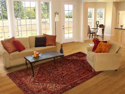 Heriz Red Hand Knotted 78 X 112 Area Rug 400-16746 Image 7