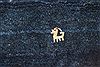 Gabbeh Yellow Hand Knotted 68 X 97 Area Rug 400-16778 Thumb 11