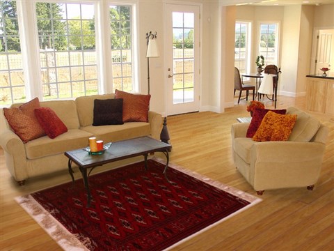 Bokhara Red Hand Knotted 45 X 58 Area Rug 400-16819 Image 5