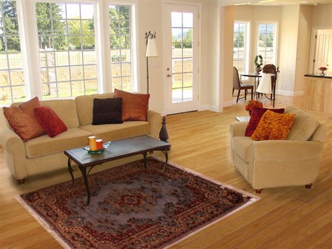 Pishavar Blue Hand Knotted 42 X 60 Area Rug 400-16838 Image 5