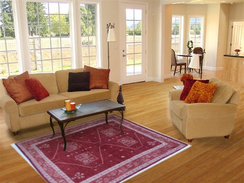 Gabbeh Orange Hand Knotted 55 X 74 Area Rug 250-16861 Image 5