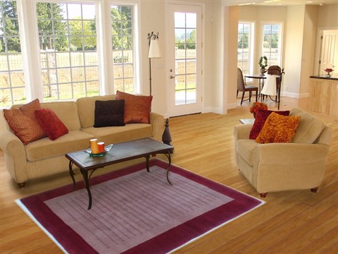 Gabbeh Brown Hand Knotted 51 X 71 Area Rug 251-16864 Image 5