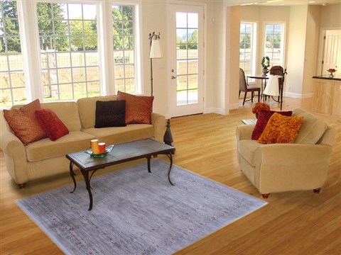 Gabbeh Brown Hand Knotted 45 X 64 Area Rug 250-16876 Image 5