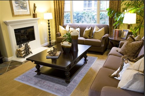 Gabbeh Brown Hand Knotted 45 X 64 Area Rug 250-16876 Image 3