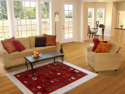 Gabbeh Red Hand Knotted 51 X 611 Area Rug 250-16880 Image 5
