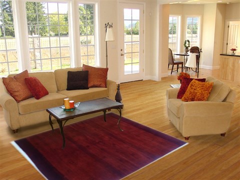 Gabbeh Orange Hand Knotted 52 X 70 Area Rug 250-16881 Image 5